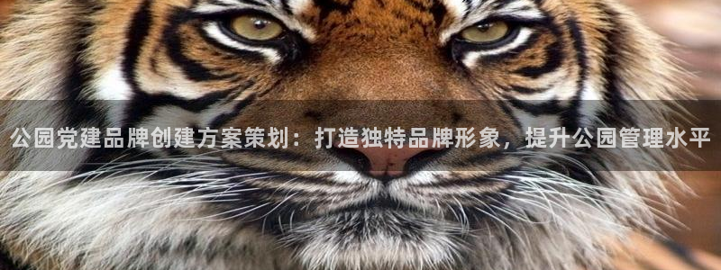 mgm美高梅游戏网页