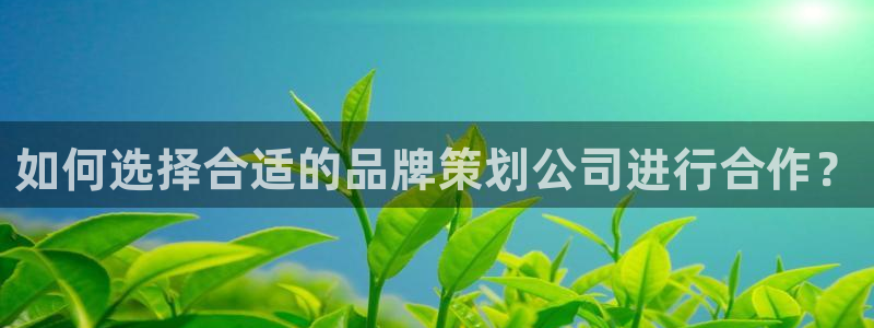 mgm美高梅游戏网页